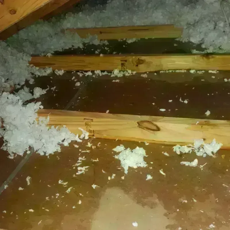 Attic Water Damage in Hinton, WV